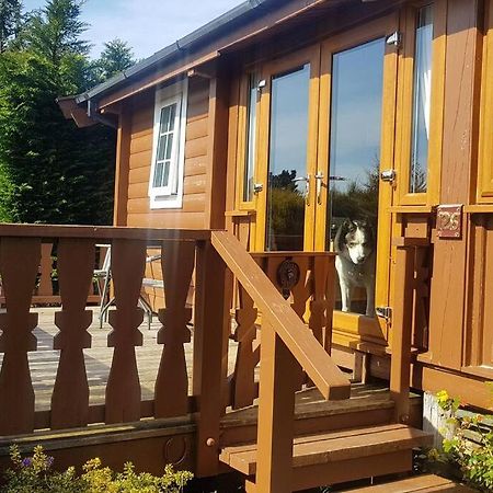 Cabin Apartment Trawsfynydd Exterior photo