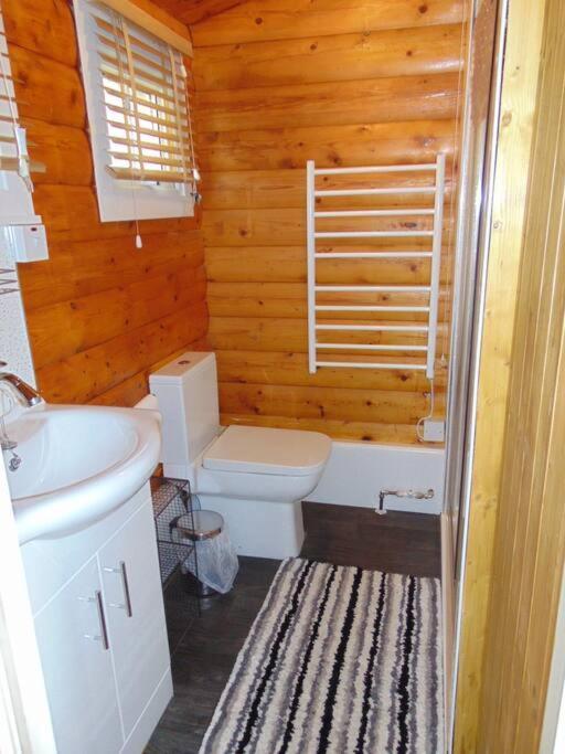 Cabin Apartment Trawsfynydd Exterior photo